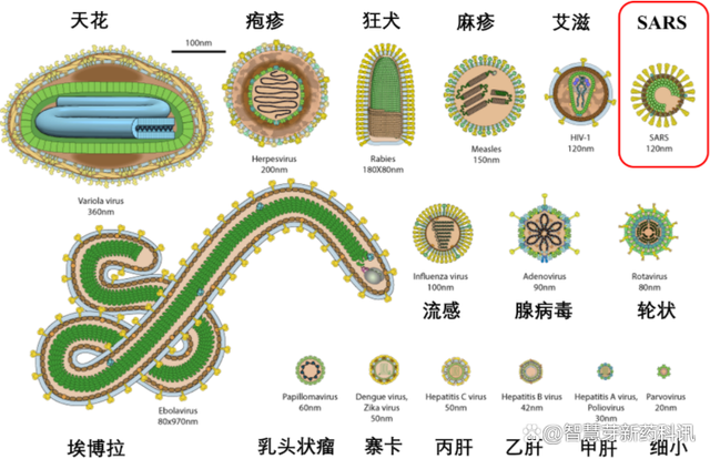 后疫情时代核苷酸和核苷类药物的过去，现在和未来(图1)