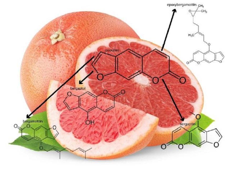 见光就过敏起反应，大猪草肆虐十几个国家，究竟是种什么植物？(图12)