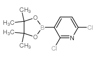 2,6-二氯-3-(4,4,5,5-四甲基-1,3,2-二氧杂硼烷-2-基)吡啶