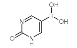 2-羟基-5-嘧啶硼酸