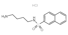 N-(4-氨基丁基)-2-萘磺酰胺盐酸盐