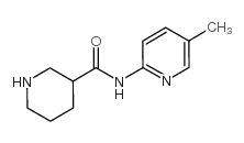 N-(5-甲基吡啶-2-基)哌啶-3-甲酰胺