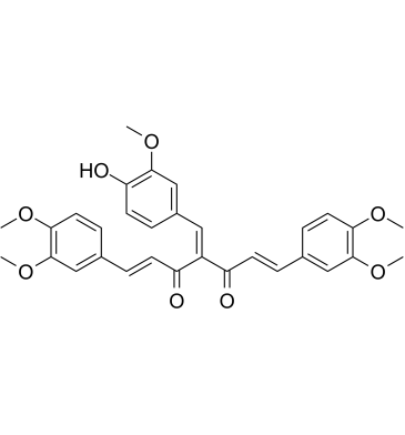 NF-κB-IN-1