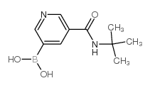 5-(叔丁基氨甲酰基)吡啶-3-硼酸