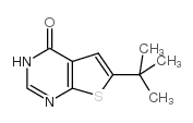 6-叔丁基-3H-噻吩[2,3-D]嘧啶-4-酮