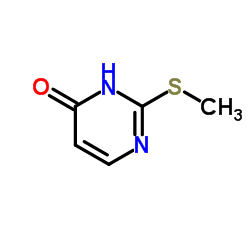 2-甲硫基-4-嘧啶酮