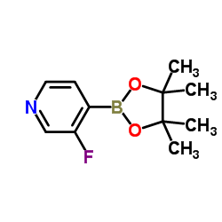 3-氟吡啶-4-硼酸频哪酯
