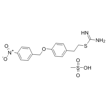 S-[4-[(4-硝基苄基)氧代]苯乙基]异硫脲甲磺酸盐