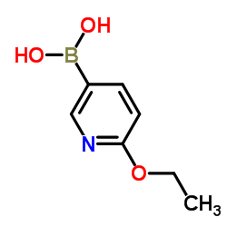 6-乙氧基-3-吡啶硼酸