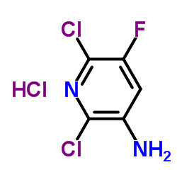 2,6-二氯-3-氨基-5-氟吡啶盐酸盐