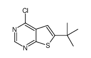 6-叔丁基-4-氯-噻吩[2,3-D]嘧啶