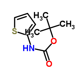 N-(2-噻吩基)氨基甲酸叔丁酯