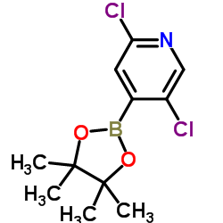 2,5-二氯吡啶-4-硼酸频呢醇酯