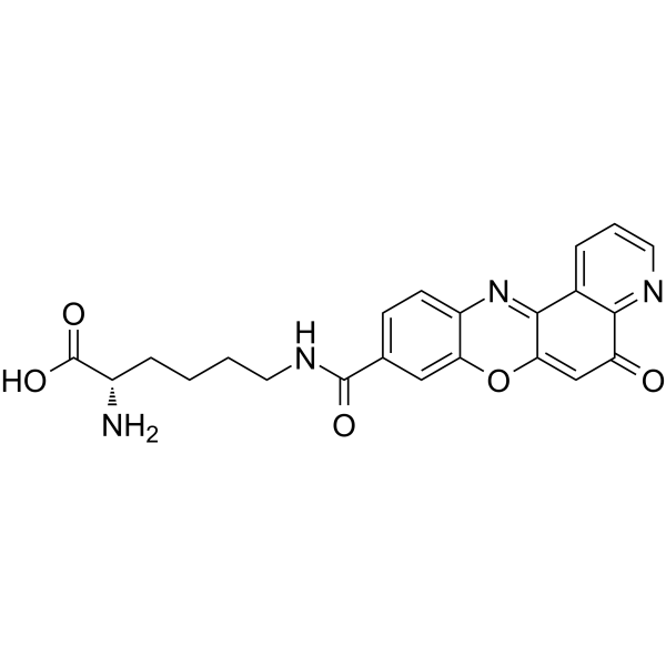 Topoisomerase IIα-IN-2