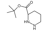 (S)-哌嗪-3-羧酸叔丁酯