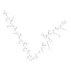 C-JUN PEPTIDE