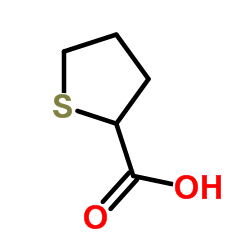 四氢噻吩-2-羧酸