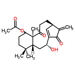 Kongensin A