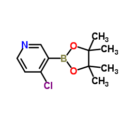 4-氯-3-(4,4,5,5-四甲基-1,3,2-二氧杂硼烷-2-基)吡啶