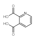 2,3-吡啶二甲酸