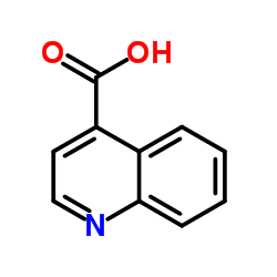 4-喹啉羧酸