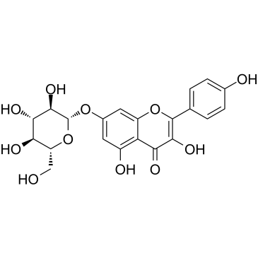 山奈酚-7-O-葡萄糖苷