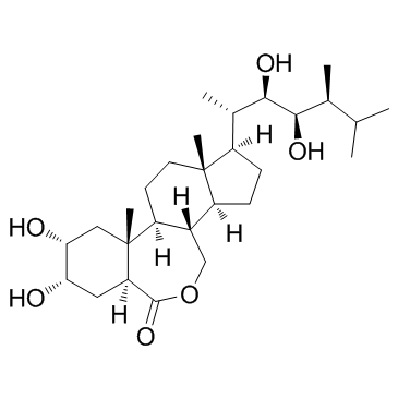 表油菜素内酯