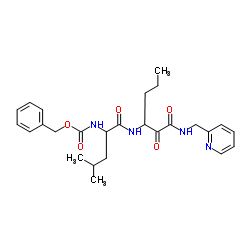 (Rac)-Calpain Inhibitor XII