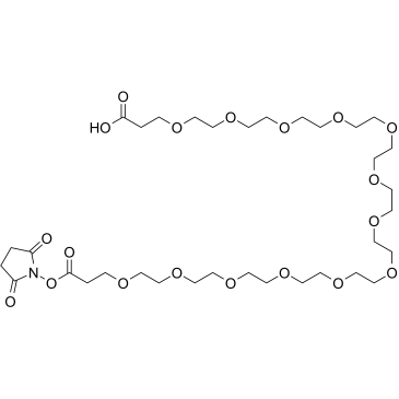 Acid-PEG13-NHS ester