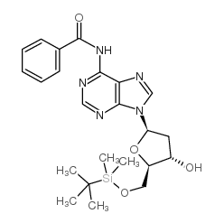 N-苯甲酰基-5'-O-叔丁基二甲基硅烷基- 2'-脱氧腺苷