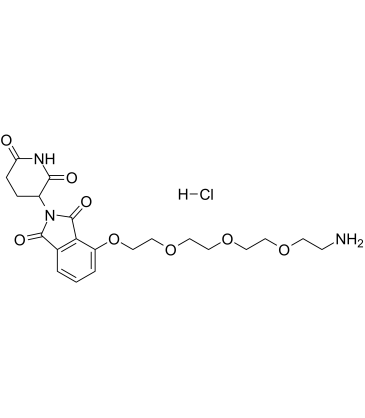 Thalidomide-PEG4-NH2 hydrochloride