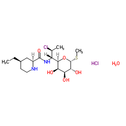 吡利霉素盐酸盐-d10(主要组分)