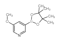 5-甲氧基-3-吡啶频那醇硼酸酯