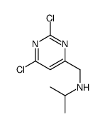 (2,6-二氯-嘧啶-4-甲基)-异丙基-胺