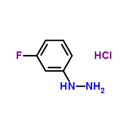 3-氟苯肼盐酸
