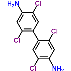 2,2',5,5'-四氯二苯胺
