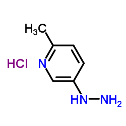 5-肼基-2-甲基吡啶盐酸盐