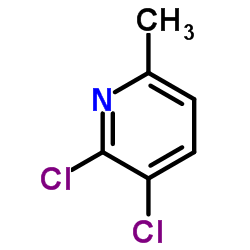 2,3-二氯-6-甲基吡啶