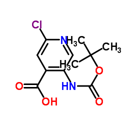 5-((叔丁氧羰基)氨基)-2-氯异烟酸