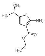 2-氨基-5-异丙基噻吩-3-甲酸乙酯