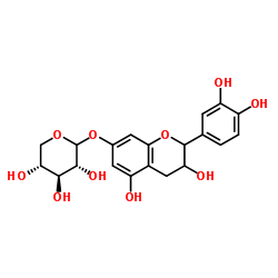 7-木糖苷儿茶酚