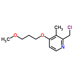 2-(氯甲基)-4-(3-甲氧基丙氧基)-3-甲基吡啶