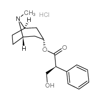 莨菪鹼鹽酸鹽