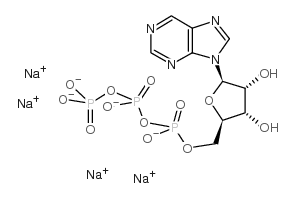 Purine riboside triphosphate