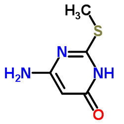 2-甲基巯基-4-氨基-6-羟基嘧啶