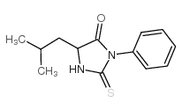 苯基硫代乙内酰脲-亮氨酸