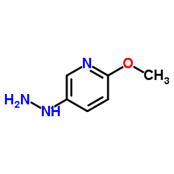 2-甲氧基-5-肼基吡啶