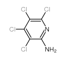 3,4,5,6-四氯-2-吡啶胺