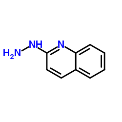2-肼基喹啉