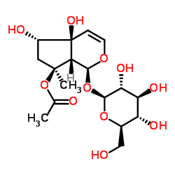 6-表-8-O-乙酰基哈帕甙